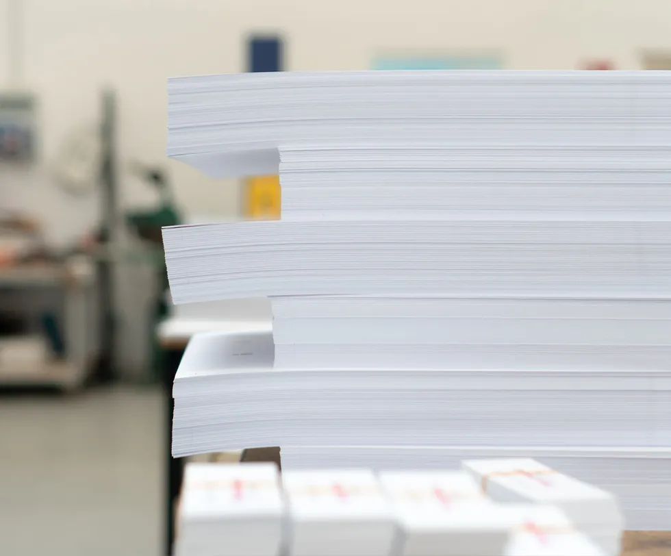 Stampa manifesti pubblicitari Grafiche Panizza Carpi